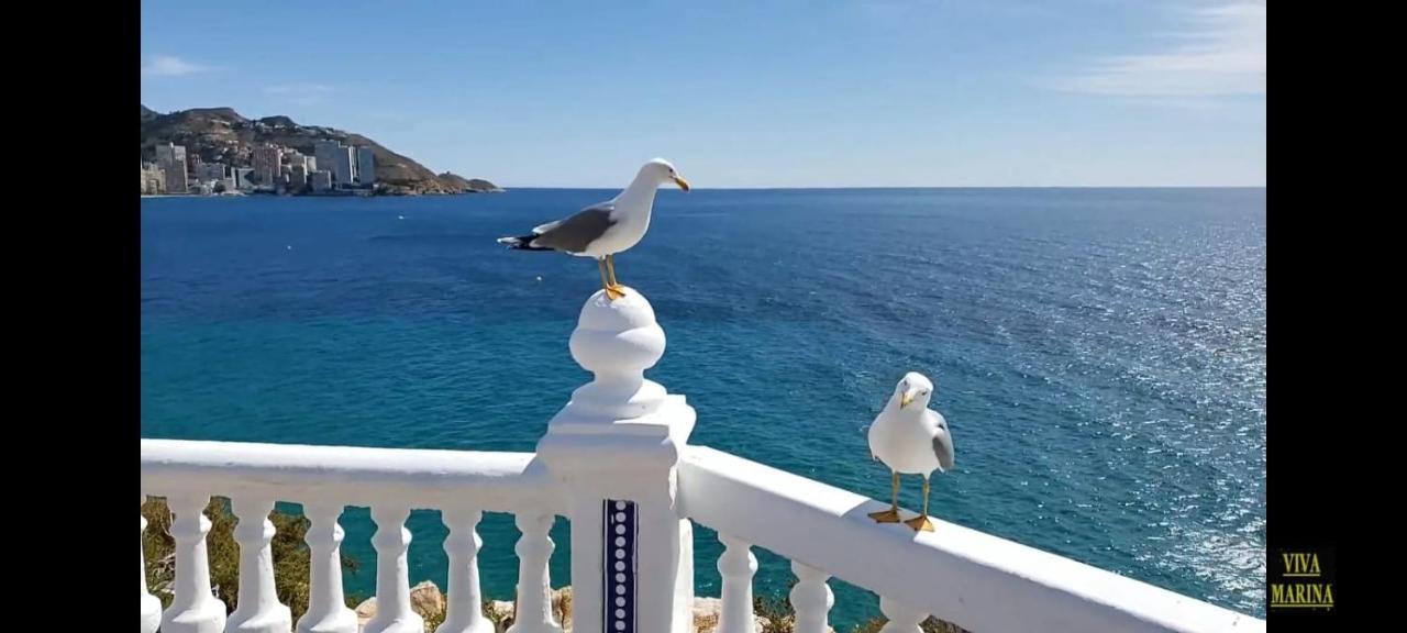 Apartamento Sun Beach Benidorm Extérieur photo